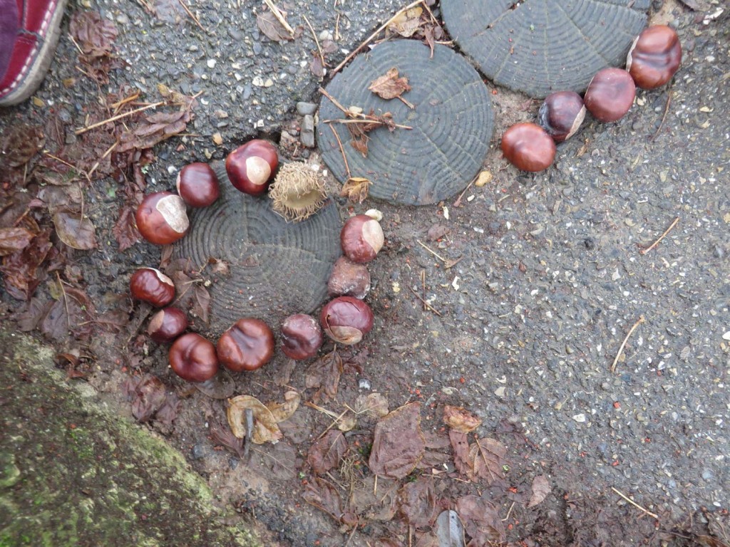 Land Art avec des marrons