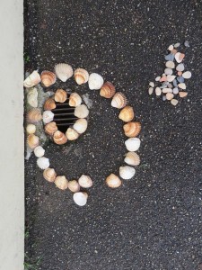 Jeu de cercles avec des coquillages