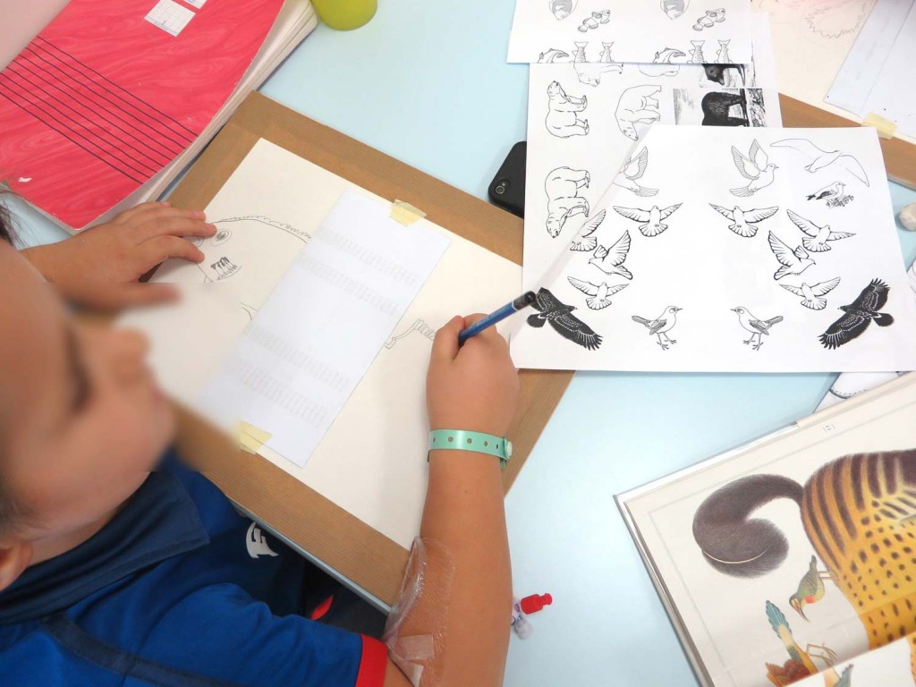 Atelier dessin à l'hôpital