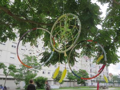 Pièges accrochés dans les arbres