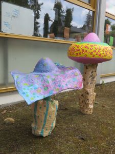 Deux champignons dans le jardin de l'école