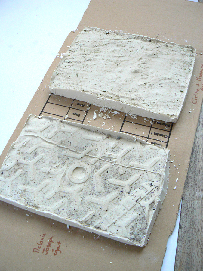 Réaliser une empreinte en plâtre - Livios