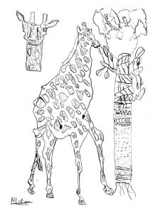 Dessiner une girafe