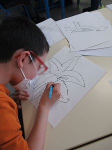 Un enfant dessine une fleur