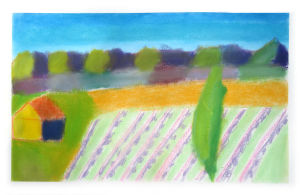 Paysage de Provence