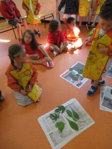 Choisir deux feuilles d'arbre