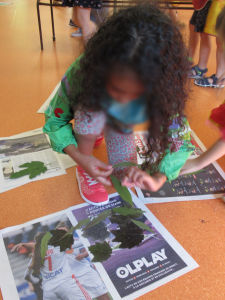 Activité avec des feuilles d'arbre