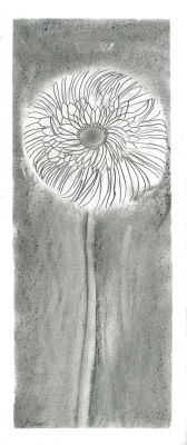 Dessiner au crayon à papier
