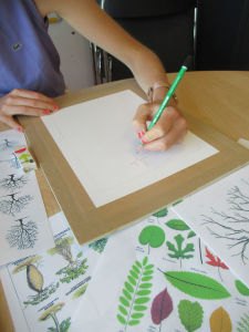 Ateliers artistiques avec les enfants hospitalisés