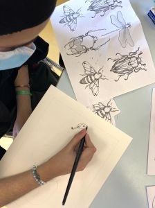 Dessiner une tête d'animal