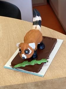 Créations artistiques avec les enfants à l'hôpital