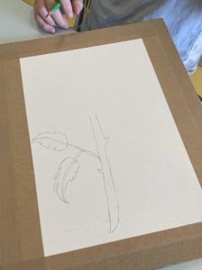 Dessiner un fleur